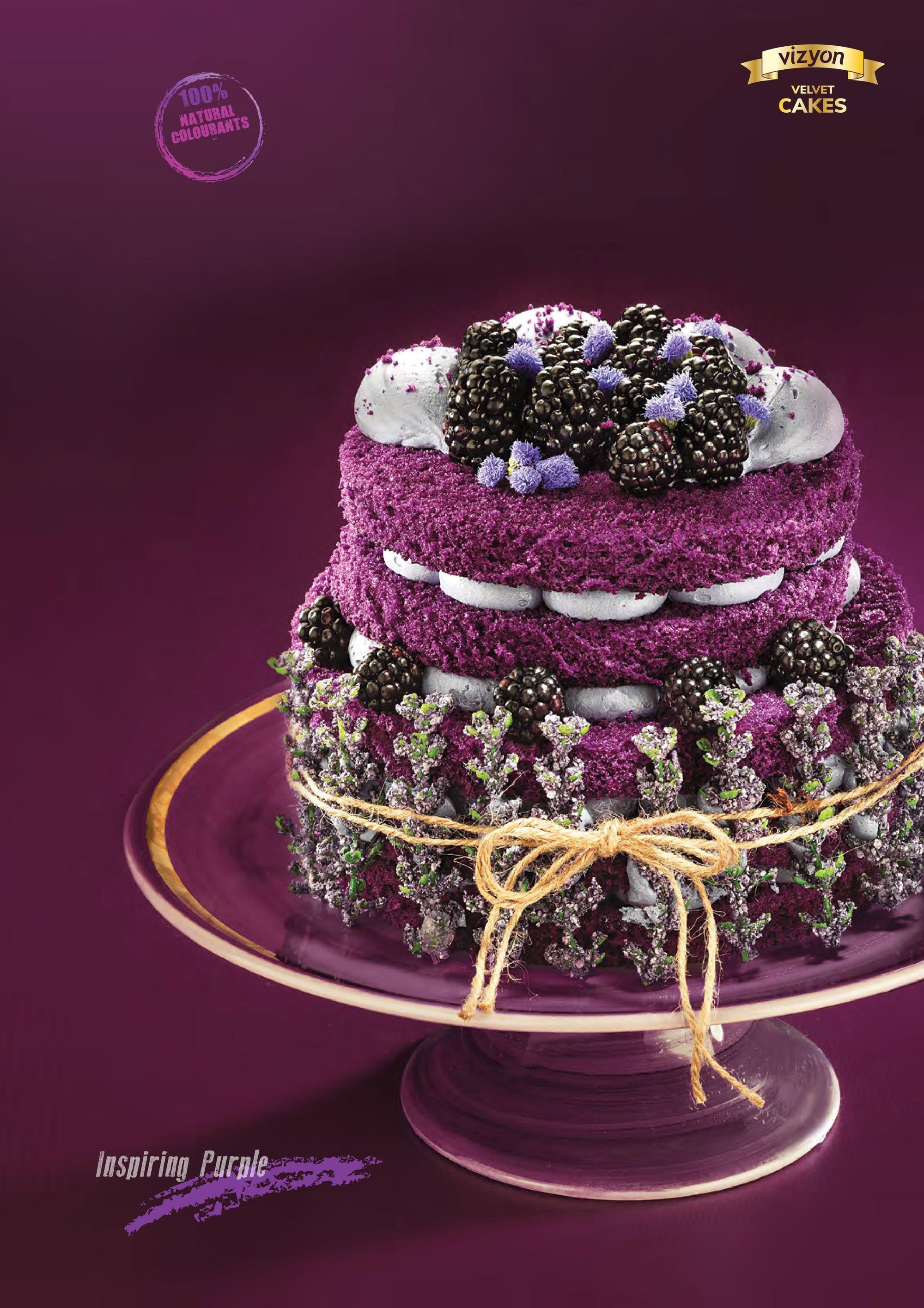 VIZYON PURPLE VELVET CAKE MIX 1KG - Cake Decorating Central