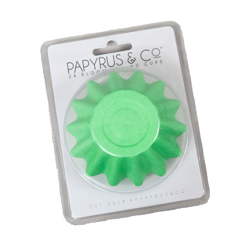 BLOOM PASTEL GREEN Baking Cups 24pk