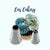 Cas Cakery #2 Special Piping Tip Set