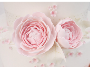 product-gallery