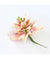 Poinsettia Cutter Set - Cake Decorating Central