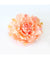 Peony Cutter Set - Cake Decorating Central