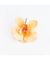Phalaenopsis Cutter Set - Cake Decorating Central