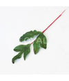 Peony Leaf Cutter Set - Cake Decorating Central