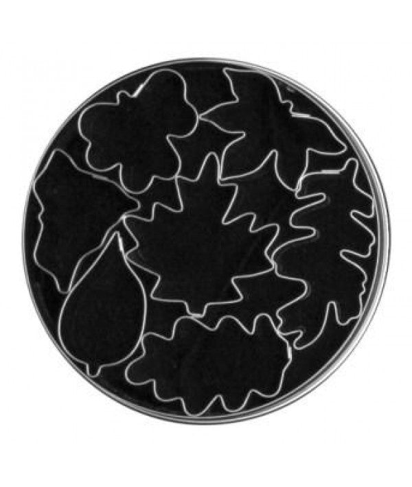 Autumn Leaves Fondant Cutter Set 7 Piece