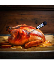 Digital Waterproof Thermometer