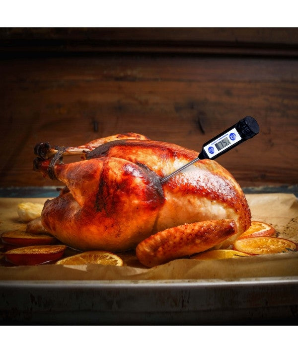 Digital Waterproof Thermometer