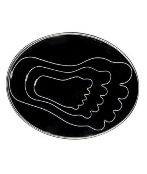 Feet Fondant Cutter Set 3 Piece