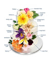 Gardenia Silicon Veiner Set - Cake Decorating Central