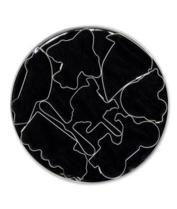 Loyal TRAVELLER Fondant Cutter Set 7pce