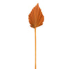 Rustic Orange Preserved Dried Palm Spear Leaf