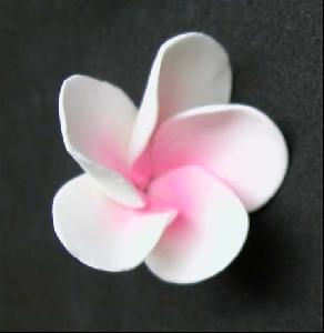 Sugar Frangipani Medium PINK