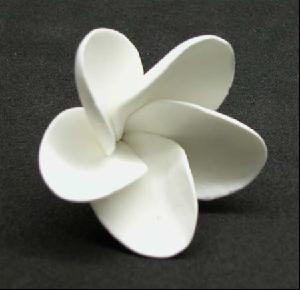 Sugar Frangipani Medium WHITE