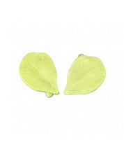 Standard Tulip Silicon Veiner Set - Cake Decorating Central